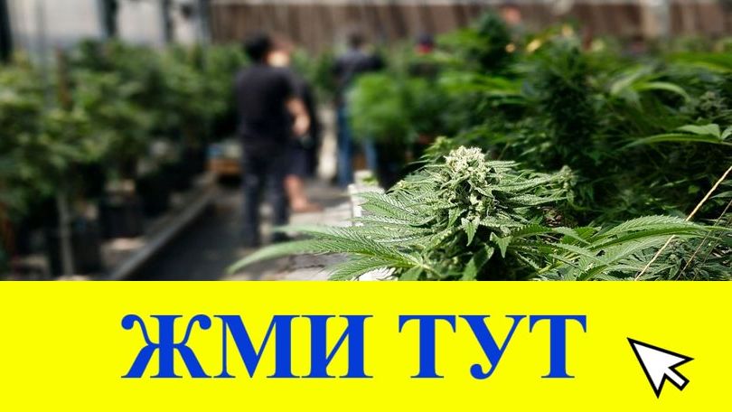 Купить наркотики в Петухово